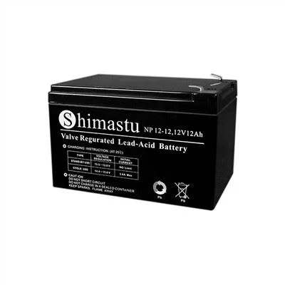 12 volt nødbatteri