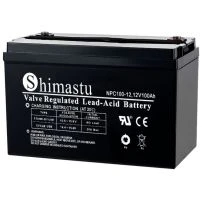 12V100AH ​​Deep Cycle batteri